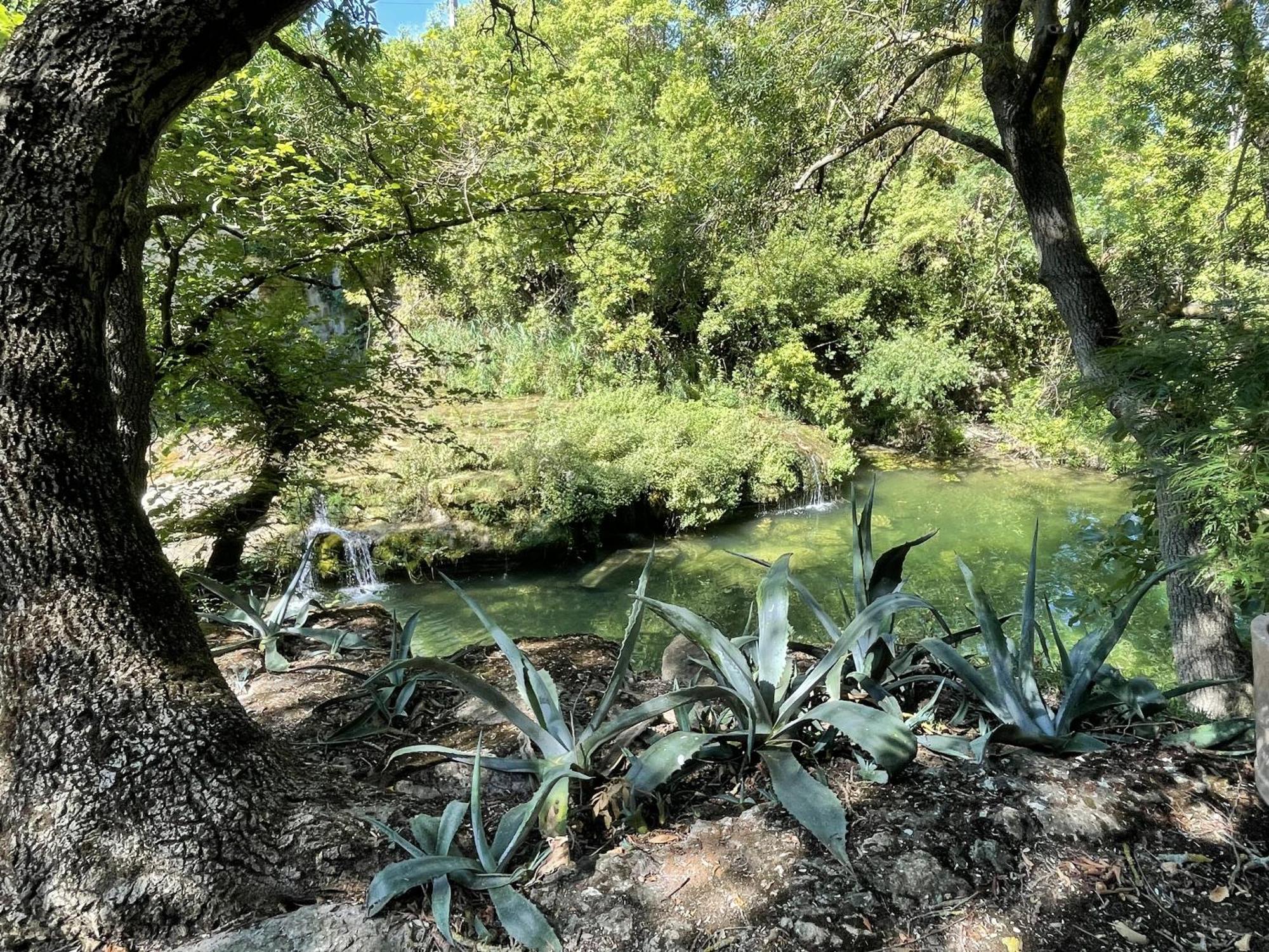 Le Domaine De La Tuilerie - Gite De Charme En Bord De Riviere Avec Piscine Servies-en-Val Bilik gambar